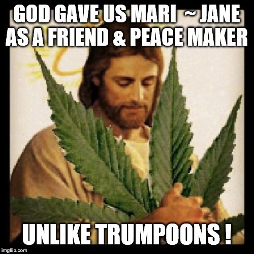 Weed Jesus | GOD GAVE US MARI  ~ JANE AS A FRIEND & PEACE MAKER; UNLIKE TRUMPOONS ! | image tagged in weed jesus | made w/ Imgflip meme maker