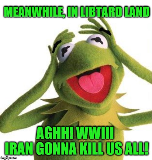 Didn't worry when Obama killed Bin Laden-if he even did | MEANWHILE, IN LIBTARD LAND; AGHH! WWIII
 IRAN GONNA KILL US ALL! | image tagged in scared kermit,memes,political | made w/ Imgflip meme maker