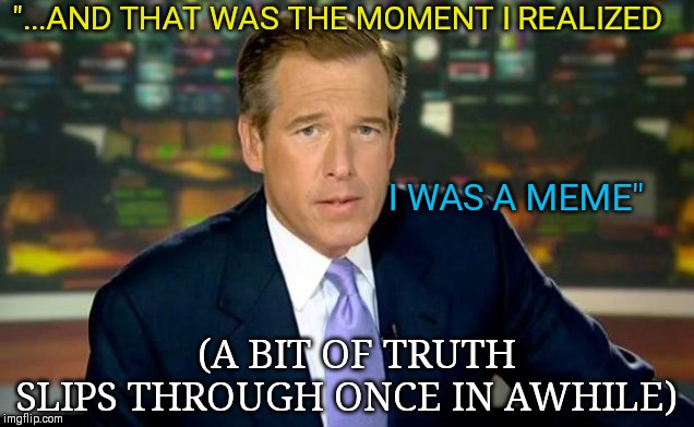 Brian Williams Was There Meme | "...AND THAT WAS THE MOMENT I REALIZED; I WAS A MEME"; (A BIT OF TRUTH SLIPS THROUGH ONCE IN AWHILE) | image tagged in memes,brian williams was there | made w/ Imgflip meme maker