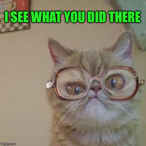 Funny Cat with Glasses | I SEE WHAT YOU DID THERE | image tagged in funny cat with glasses | made w/ Imgflip meme maker