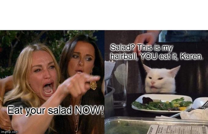 Woman Yelling At Cat Meme | Salad? This is my hairball, YOU eat it, Karen. Eat your salad NOW! | image tagged in memes,woman yelling at cat | made w/ Imgflip meme maker