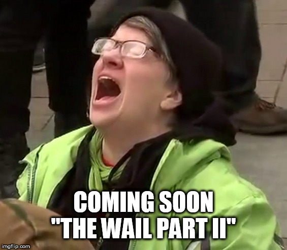 Crying liberal | COMING SOON "THE WAIL PART II" | image tagged in crying liberal | made w/ Imgflip meme maker