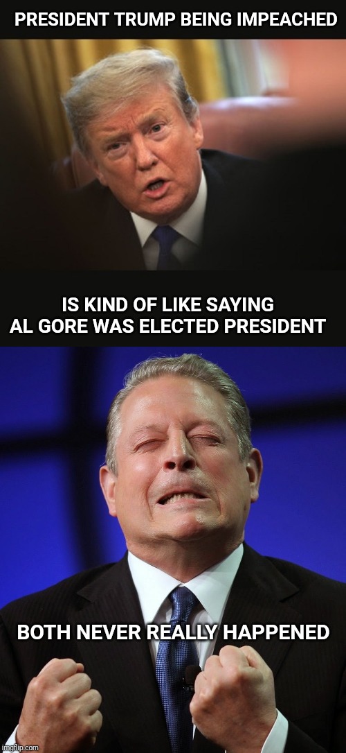 PRESIDENT TRUMP BEING IMPEACHED; IS KIND OF LIKE SAYING AL GORE WAS ELECTED PRESIDENT; BOTH NEVER REALLY HAPPENED | image tagged in al gore,impeached trump,trump 2020,president trump,trump | made w/ Imgflip meme maker