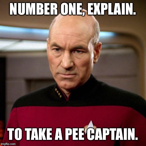 Picard | NUMBER ONE, EXPLAIN. TO TAKE A PEE CAPTAIN. | image tagged in bathroom humor | made w/ Imgflip meme maker