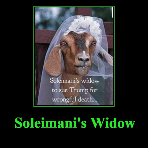 Solomeany's Widow to sue Trump for wrongful death | Soleimani's Widow | | image tagged in funny,demotivationals,no more goat shaggers,goat love,screaming goats,goat sex | made w/ Imgflip demotivational maker