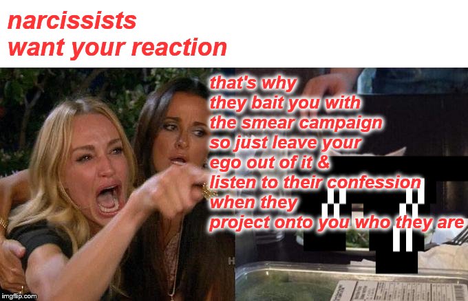 Woman Yelling At Cat |  that's why they bait you with the smear campaign so just leave your ego out of it & listen to their confession when they project onto you who they are; narcissists want your reaction | image tagged in memes,woman yelling at cat | made w/ Imgflip meme maker
