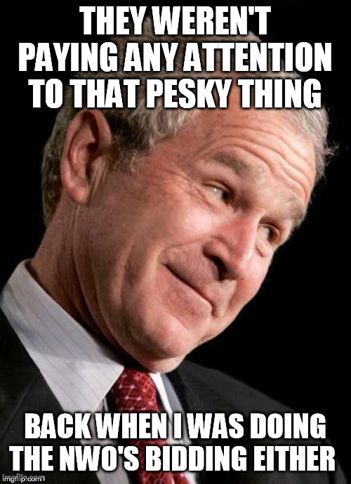 George W. Bush Blame  | THEY WEREN'T PAYING ANY ATTENTION TO THAT PESKY THING BACK WHEN I WAS DOING THE NWO'S BIDDING EITHER | image tagged in george w bush blame | made w/ Imgflip meme maker
