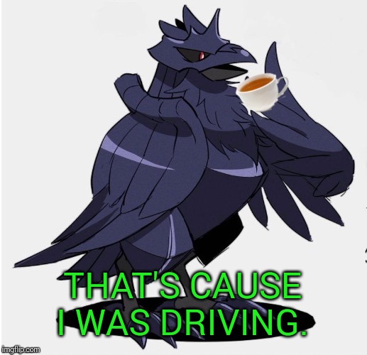 The_Tea_Drinking_Corviknight | THAT'S CAUSE I WAS DRIVING. | image tagged in the_tea_drinking_corviknight | made w/ Imgflip meme maker