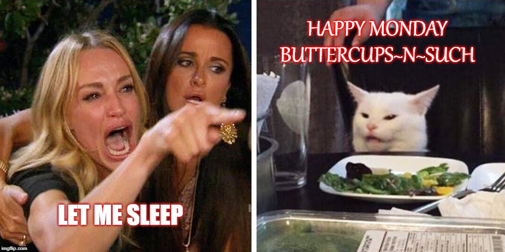 Smudge the cat | HAPPY MONDAY BUTTERCUPS~N~SUCH; LET ME SLEEP | image tagged in smudge the cat | made w/ Imgflip meme maker