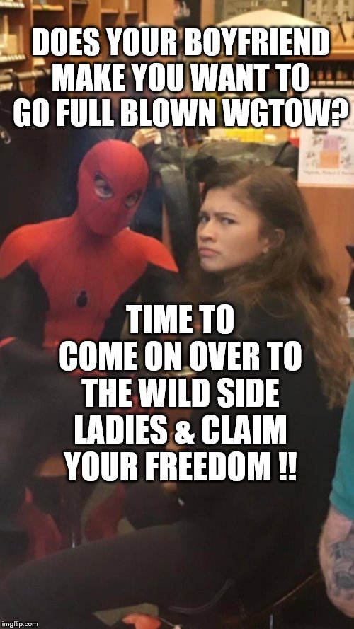 Spider man and MJ. |  DOES YOUR BOYFRIEND MAKE YOU WANT TO GO FULL BLOWN WGTOW? TIME TO COME ON OVER TO THE WILD SIDE LADIES & CLAIM YOUR FREEDOM !! | image tagged in spider man and mj | made w/ Imgflip meme maker