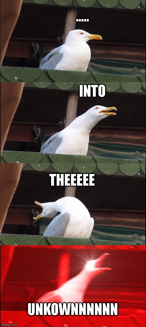 Inhaling Seagull | ..... INTO; THEEEEE; UNKOWNNNNNN | image tagged in memes,inhaling seagull | made w/ Imgflip meme maker