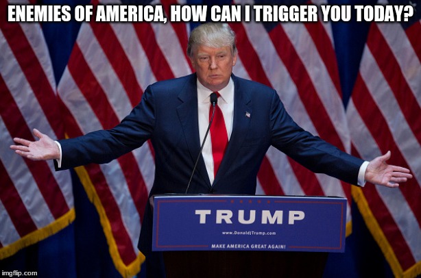 Triggering our enemies anyway he can | ENEMIES OF AMERICA, HOW CAN I TRIGGER YOU TODAY? | image tagged in donald trump,triggered liberal,maga,protecting america,best president ever,some liberal crybaby will expose their hate | made w/ Imgflip meme maker