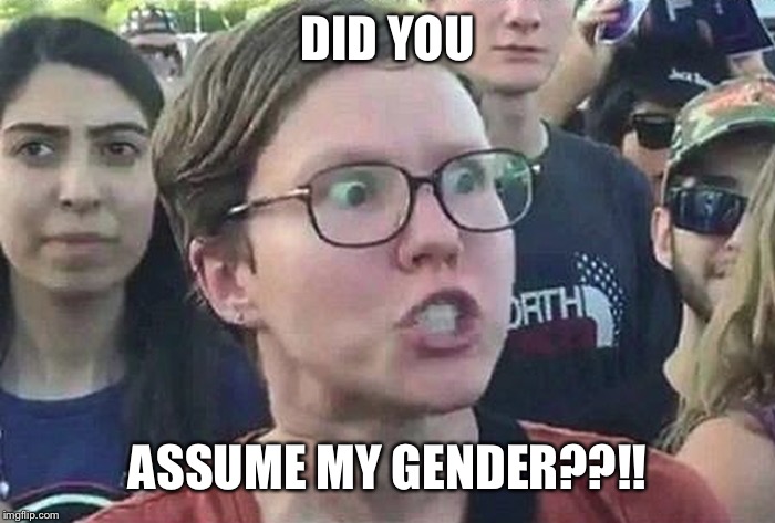 Triggered Liberal | DID YOU ASSUME MY GENDER??!! | image tagged in triggered liberal | made w/ Imgflip meme maker