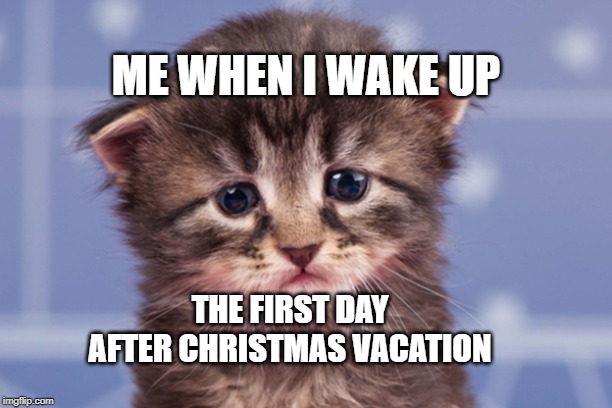 Sad kitty | ME WHEN I WAKE UP; THE FIRST DAY AFTER CHRISTMAS VACATION | image tagged in sad,vacation,kitten,work | made w/ Imgflip meme maker
