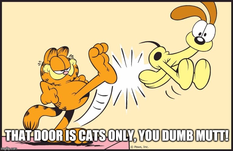 Garfield kicking odie | THAT DOOR IS CATS ONLY, YOU DUMB MUTT! | image tagged in garfield kicking odie | made w/ Imgflip meme maker