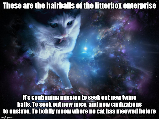 Cat God | These are the hairballs of the litterbox enterprise It's continuing mission to seek out new twine balls. To seek out new mice, and new civil | image tagged in cat god | made w/ Imgflip meme maker