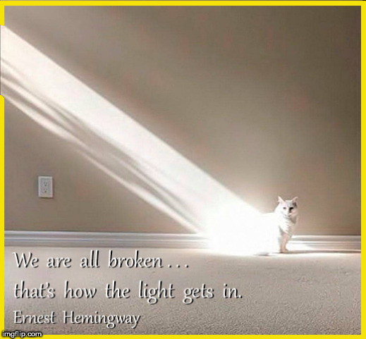 Light - Hemingway quote | image tagged in ernest heminway,quotes,cute kitty,great quotes,life lessons | made w/ Imgflip meme maker