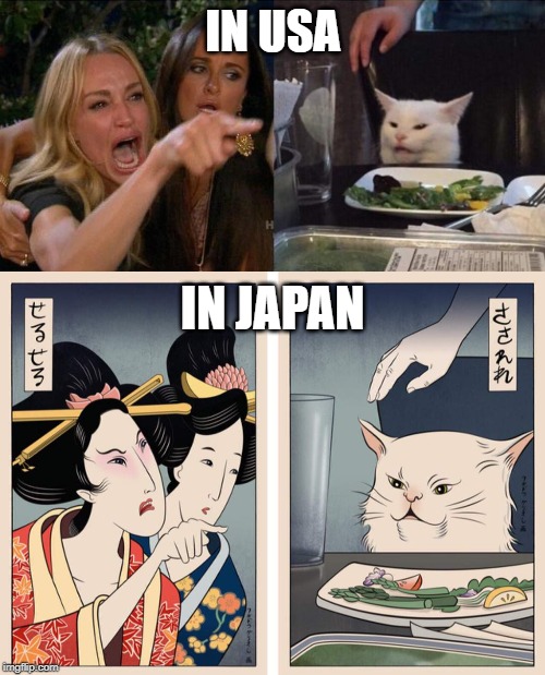 Woman Yelling at a Cat - but its in Japanese | IN USA; IN JAPAN | image tagged in memes,woman yelling at cat,funny,japan,usa,art | made w/ Imgflip meme maker