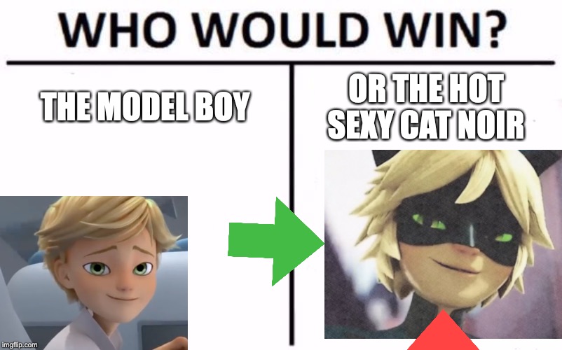 Who Would Win? Meme | THE MODEL BOY; OR THE HOT SEXY CAT NOIR | image tagged in memes,who would win | made w/ Imgflip meme maker