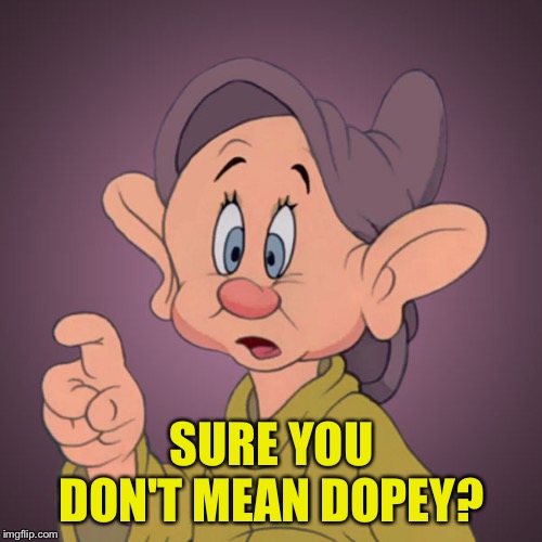 dopey | SURE YOU DON'T MEAN DOPEY? | image tagged in dopey | made w/ Imgflip meme maker