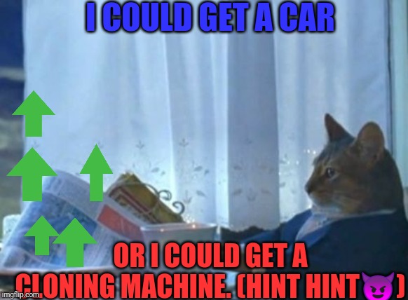 should i buy a cat s car