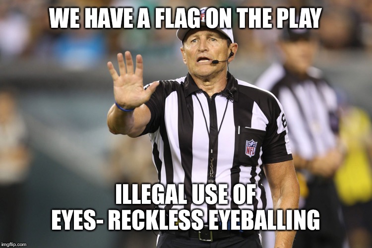 Ed Hochuli Fallacy Referee | WE HAVE A FLAG ON THE PLAY; ILLEGAL USE OF EYES- RECKLESS EYEBALLING | image tagged in ed hochuli fallacy referee | made w/ Imgflip meme maker