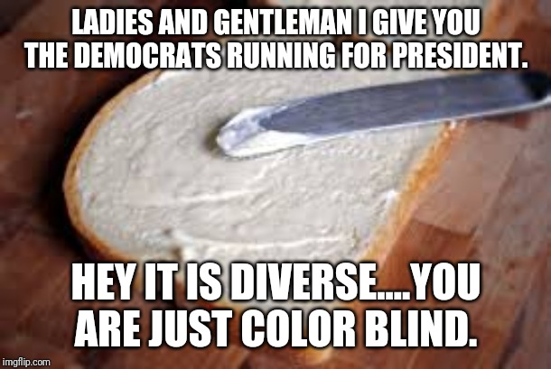 Mayo on White Bread....aka the Diverse Democrats Running to Lose to Trump | LADIES AND GENTLEMAN I GIVE YOU THE DEMOCRATS RUNNING FOR PRESIDENT. HEY IT IS DIVERSE....YOU ARE JUST COLOR BLIND. | image tagged in diversity,liberal logic,democrats,liberal hypocrisy,maga,president trump | made w/ Imgflip meme maker