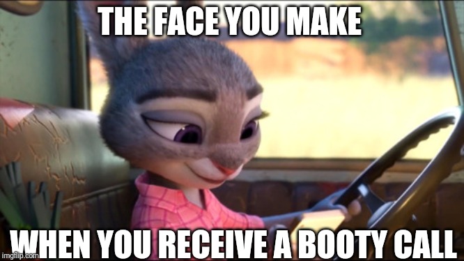Calling Miss Hopps | THE FACE YOU MAKE; WHEN YOU RECEIVE A BOOTY CALL | image tagged in judy hopps phone,zootopia,judy hopps,booty,funny,memes | made w/ Imgflip meme maker