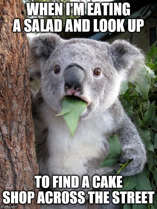 Surprised Koala Meme | WHEN I'M EATING A SALAD AND LOOK UP; TO FIND A CAKE SHOP ACROSS THE STREET | image tagged in memes,surprised koala | made w/ Imgflip meme maker