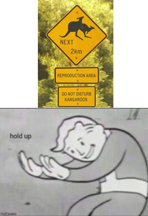 Fallout Hold Up | image tagged in fallout hold up,funny signs,kangaroo | made w/ Imgflip meme maker
