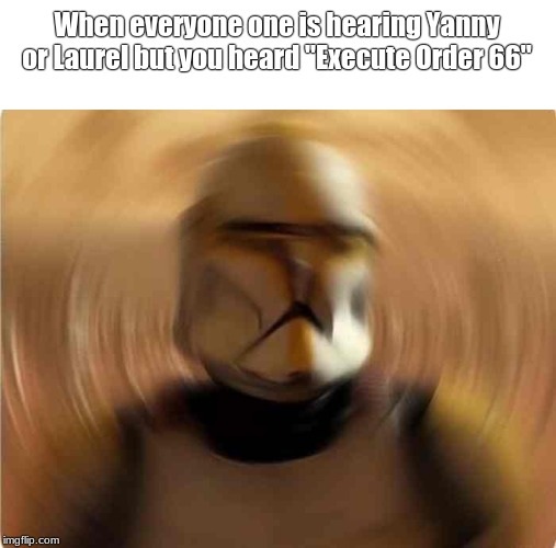 When everyone one is hearing Yanny or Laurel but you heard "Execute Order 66" | image tagged in memes | made w/ Imgflip meme maker