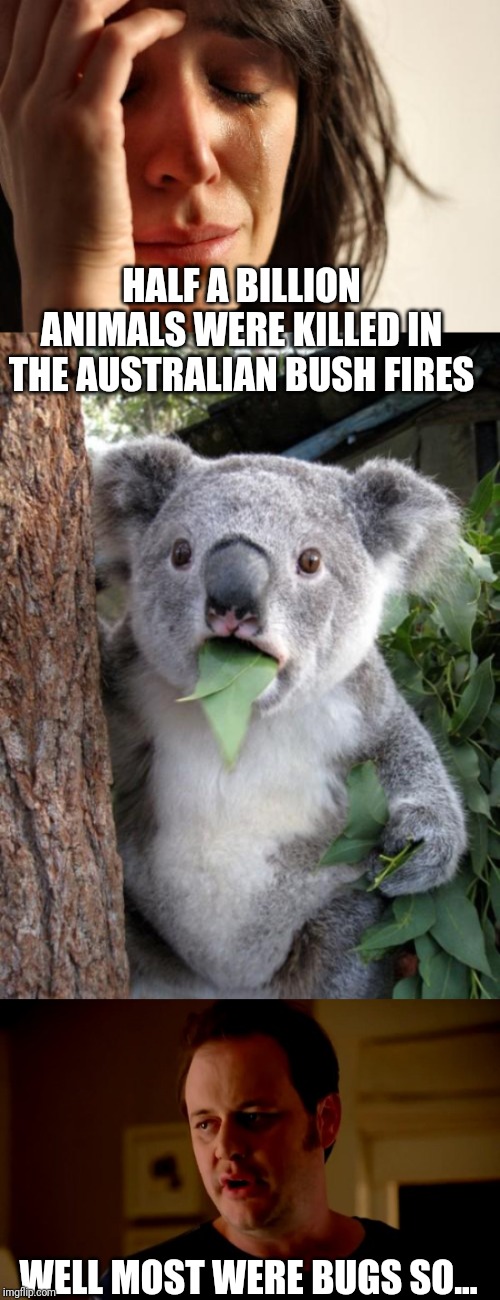 HALF A BILLION ANIMALS WERE KILLED IN THE AUSTRALIAN BUSH FIRES; WELL MOST WERE BUGS SO... | image tagged in memes,surprised koala,first world problems,jake from state farm | made w/ Imgflip meme maker