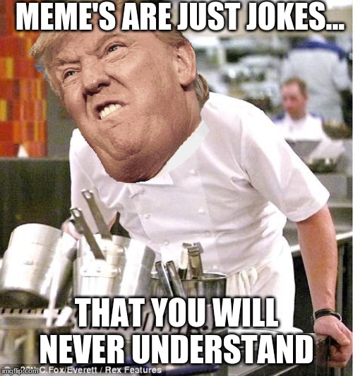 Chef Gordon Ramsay | MEME'S ARE JUST JOKES... THAT YOU WILL NEVER UNDERSTAND | image tagged in memes,chef gordon ramsay | made w/ Imgflip meme maker