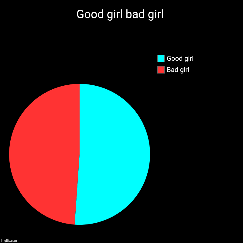 Good girl bad girl | Bad girl, Good girl | image tagged in charts,pie charts | made w/ Imgflip chart maker