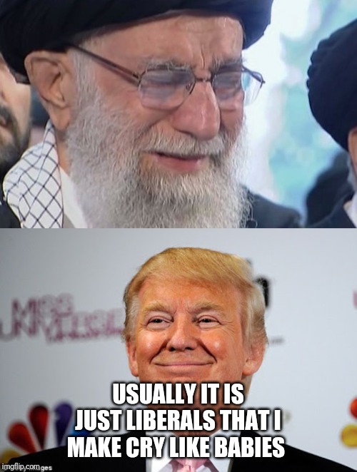 USUALLY IT IS JUST LIBERALS THAT I MAKE CRY LIKE BABIES | image tagged in donald trump approves | made w/ Imgflip meme maker