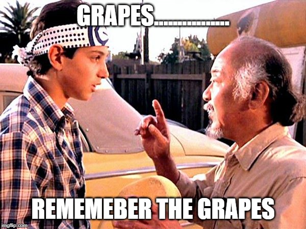 Karate Kid | GRAPES................ REMEMEBER THE GRAPES | image tagged in karate kid | made w/ Imgflip meme maker