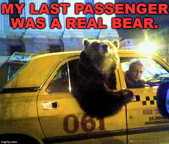 It appears it was a grizzly situation | MY LAST PASSENGER WAS A REAL BEAR. | image tagged in bear,taxi driver | made w/ Imgflip meme maker