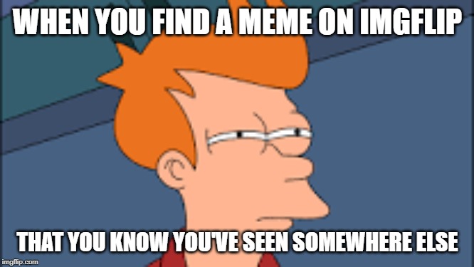 WHEN YOU FIND A MEME ON IMGFLIP; THAT YOU KNOW YOU'VE SEEN SOMEWHERE ELSE | image tagged in memes,futurama | made w/ Imgflip meme maker