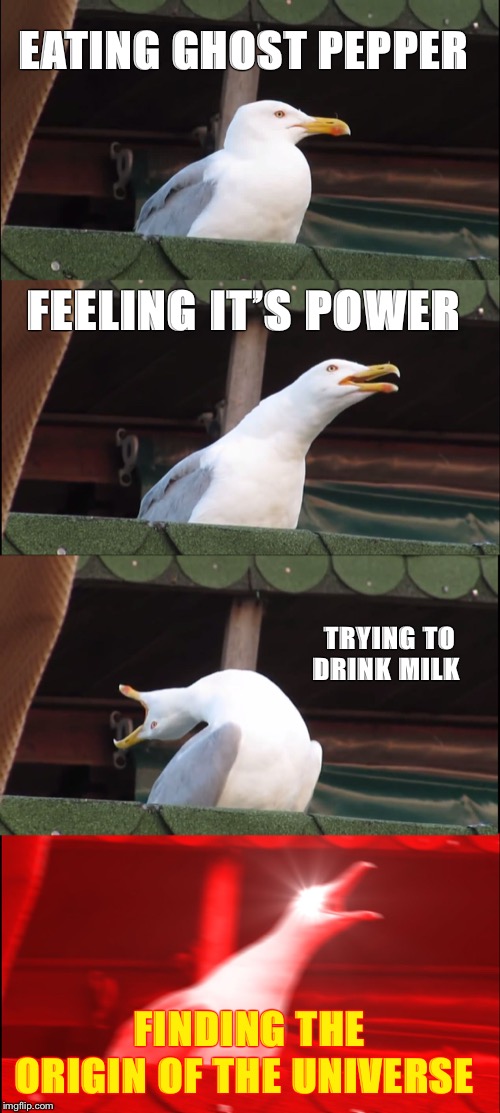 Inhaling Seagull Meme | EATING GHOST PEPPER; FEELING IT’S POWER; TRYING TO DRINK MILK; FINDING THE ORIGIN OF THE UNIVERSE | image tagged in memes,inhaling seagull | made w/ Imgflip meme maker