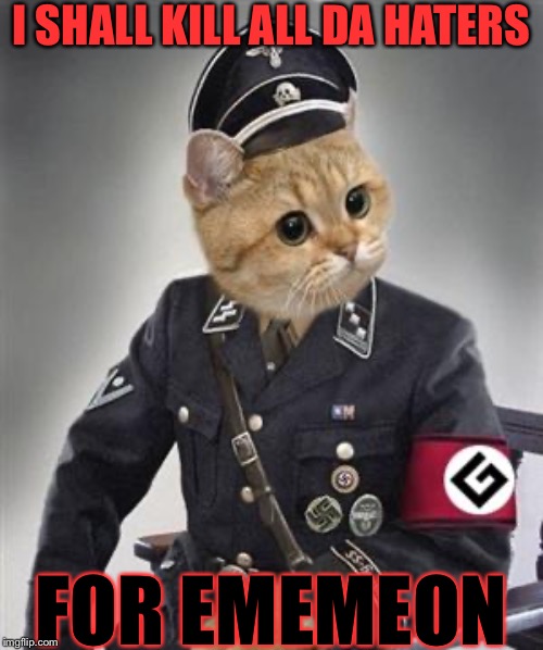 Grammar Nazi Cat | I SHALL KILL ALL DA HATERS; FOR EMEMEON | image tagged in grammar nazi cat | made w/ Imgflip meme maker