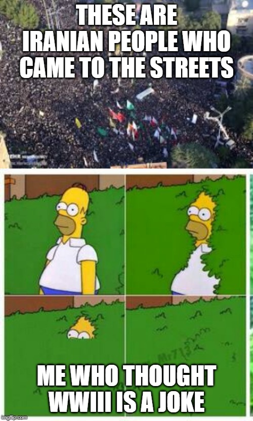 THESE ARE IRANIAN PEOPLE WHO CAME TO THE STREETS; ME WHO THOUGHT WWIII IS A JOKE | image tagged in homer hides | made w/ Imgflip meme maker