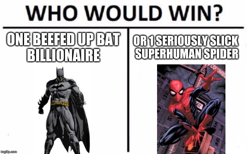 Who Would Win? Meme | ONE BEEFED UP BAT
BILLIONAIRE OR 1 SERIOUSLY SLICK 
SUPERHUMAN SPIDER | image tagged in memes,who would win | made w/ Imgflip meme maker