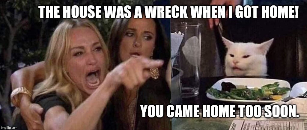woman yelling at cat | THE HOUSE WAS A WRECK WHEN I GOT HOME! YOU CAME HOME TOO SOON. | image tagged in woman yelling at cat | made w/ Imgflip meme maker