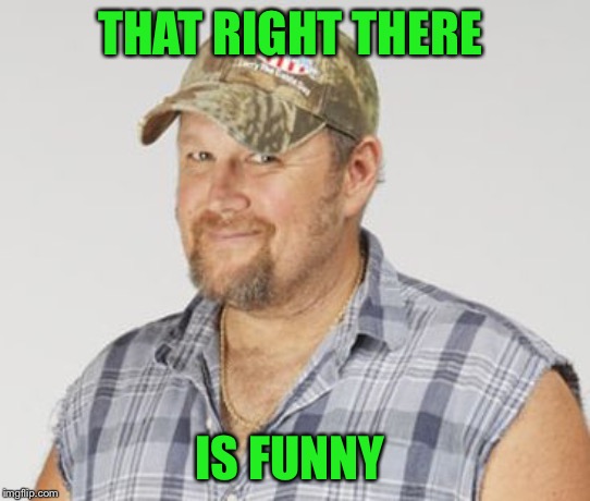 Larry The Cable Guy Meme | THAT RIGHT THERE IS FUNNY | image tagged in memes,larry the cable guy | made w/ Imgflip meme maker