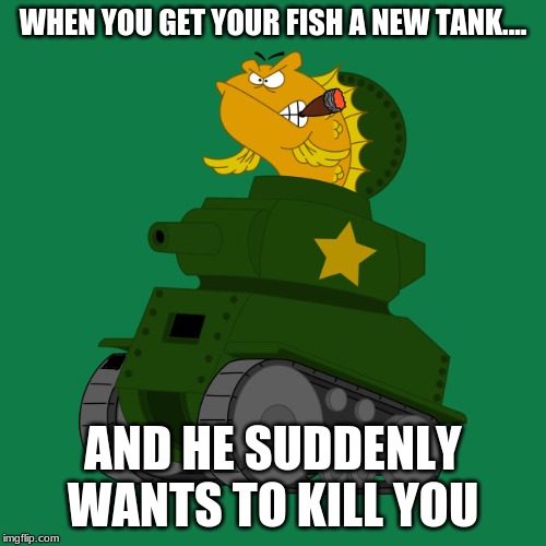 Fish TANK | WHEN YOU GET YOUR FISH A NEW TANK.... AND HE SUDDENLY WANTS TO KILL YOU | image tagged in fish,tank | made w/ Imgflip meme maker