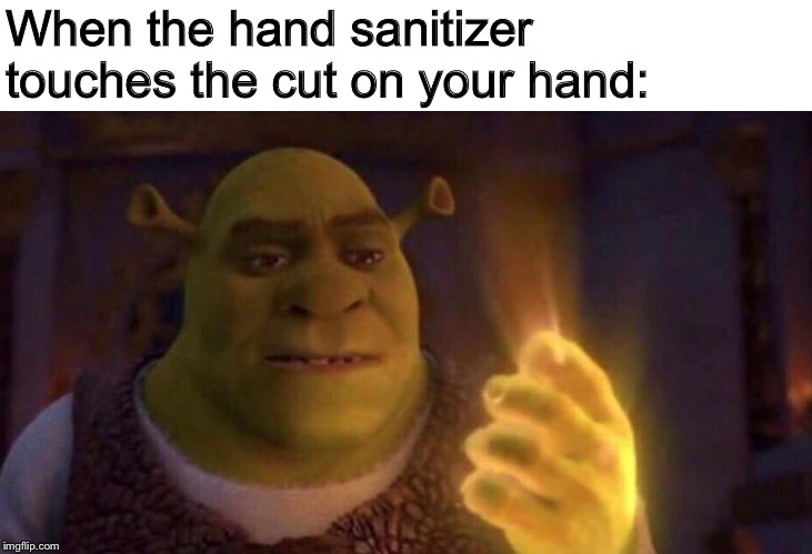 Scooter Ankle Hurts More | When the hand sanitizer touches the cut on your hand: | image tagged in shrek,hand,pain,hide the pain harold,memes,funny | made w/ Imgflip meme maker
