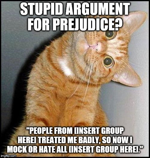 image tagged in stupid cat,memes,illogical,prejudice,bigotry | made w/ Imgflip meme maker