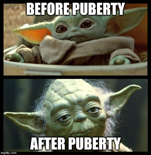 baby yoda | BEFORE PUBERTY; AFTER PUBERTY | image tagged in baby yoda | made w/ Imgflip meme maker