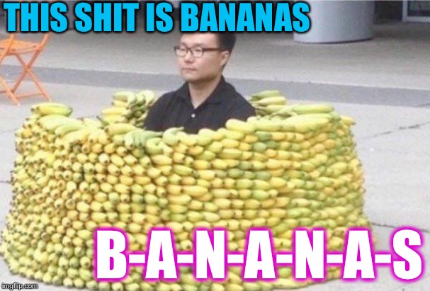Banana fort | THIS SHIT IS BANANAS B-A-N-A-N-A-S | image tagged in banana fort | made w/ Imgflip meme maker