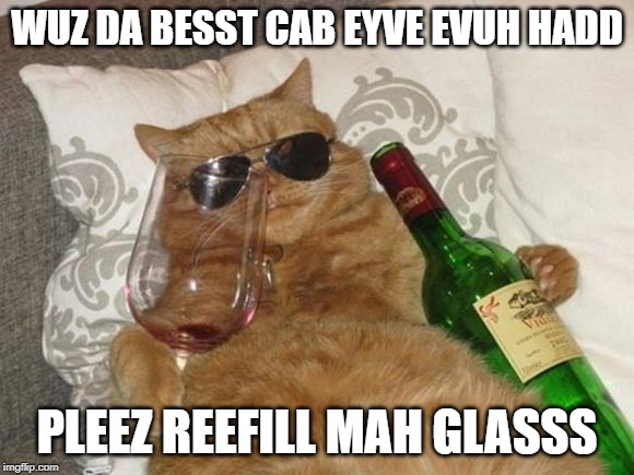 Funny Cat Birthday | WUZ DA BESST CAB EYVE EVUH HADD; PLEEZ REEFILL MAH GLASSS | image tagged in funny cat birthday | made w/ Imgflip meme maker
